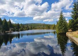 Flat With Sauna in the Bavarian Forest