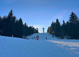 Flat With Sauna in the Bavarian Forest