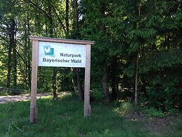 Flat With Sauna in the Bavarian Forest