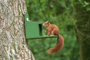 Pet-friendly Getaway