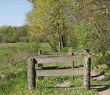 Pet-friendly Getaway