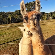 LOTE20 Hotel Boutique