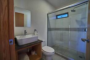 Chapultepec Collections