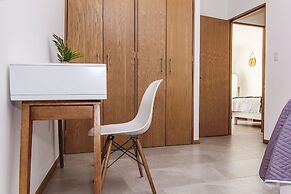 Chapultepec Collections