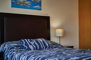 Chapultepec Collections