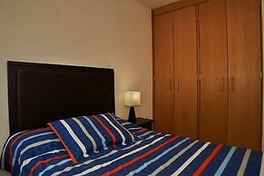 Chapultepec Collections