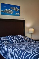 Chapultepec Collections