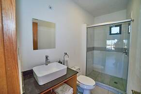 Chapultepec Collections