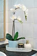 Beachfront Breeze on Campbell