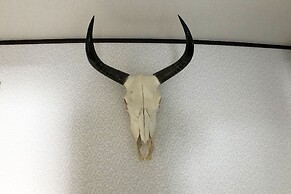 Nakagawa's Cozy House