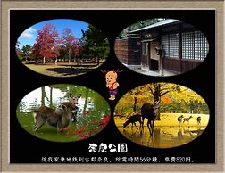 Nakagawa's Cozy House