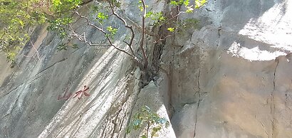 Hoi An Town Of Viet House Homestay