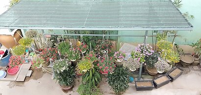 Hoi An Town Of Viet House Homestay