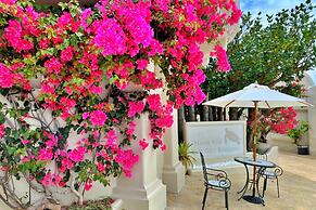 Yuki Suite Kourijima