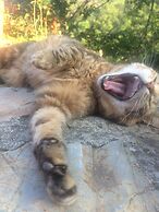 Baldo e Chicca Bed & Breakfast