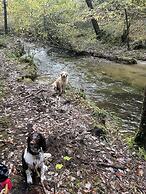 Tŷ Mawr Country Hotel