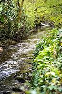 Tŷ Mawr Country Hotel