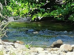 Tŷ Mawr Country Hotel