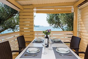 Mobile Home Pecten 01