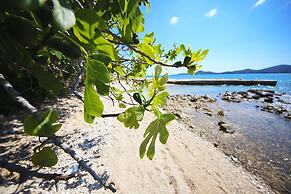 Mobile Home Plumeria 2