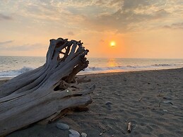 Nexpa Surf Cabañas Mar de Noche