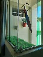 Hotel Suítes Porto Frevo