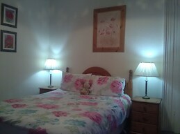 6-bed House in Snowdonia With Your own Private pub