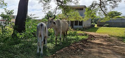Apartamentos Montiel