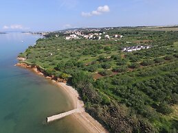 Mobile Home Septarian