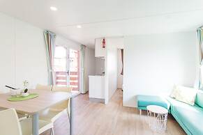 Mobile Home Septarian