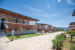 Mobile Home Septarian