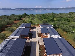 Mobile Home Septarian