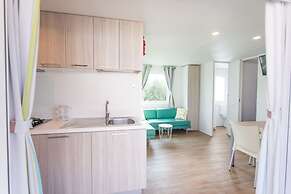 Mobile Home Septarian