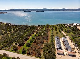 Mobile Home Septarian