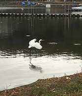 Guesthouse Zen- Hostel