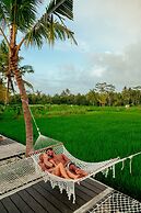 Podpadi Design Spaces