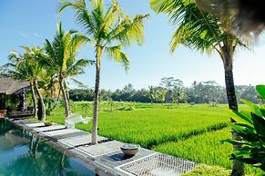 Podpadi Design Spaces