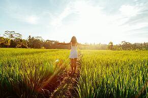 Podpadi Design Spaces