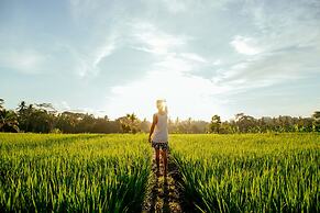 Podpadi Design Spaces