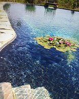 Agriturismo Il Poderino