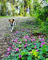 Agriturismo Il Poderino