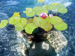 Agriturismo Il Poderino