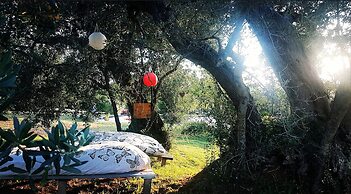 Agriturismo Il Poderino