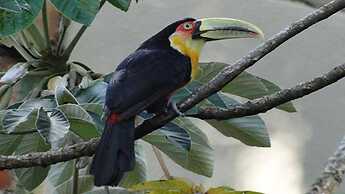 Hotel Chalés Terra Nova