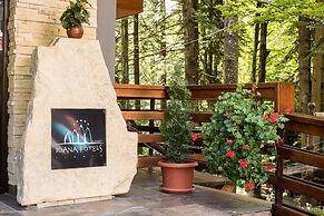 Ioana Hotels