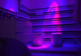 B&B Vittorio Emanuele II