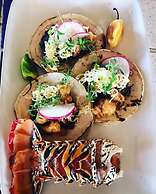 Cabañas Ecoturisticas Costa Maya