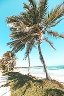 Cabañas Ecoturisticas Costa Maya