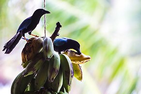 Cabañas Ecoturisticas Costa Maya