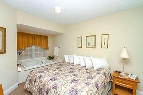 1103 Golf View Towers Smoky Bear